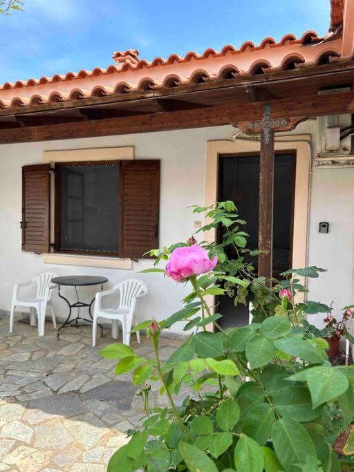 Ferienwohnung Cozy Studio In Skala, Agistri Exterior foto
